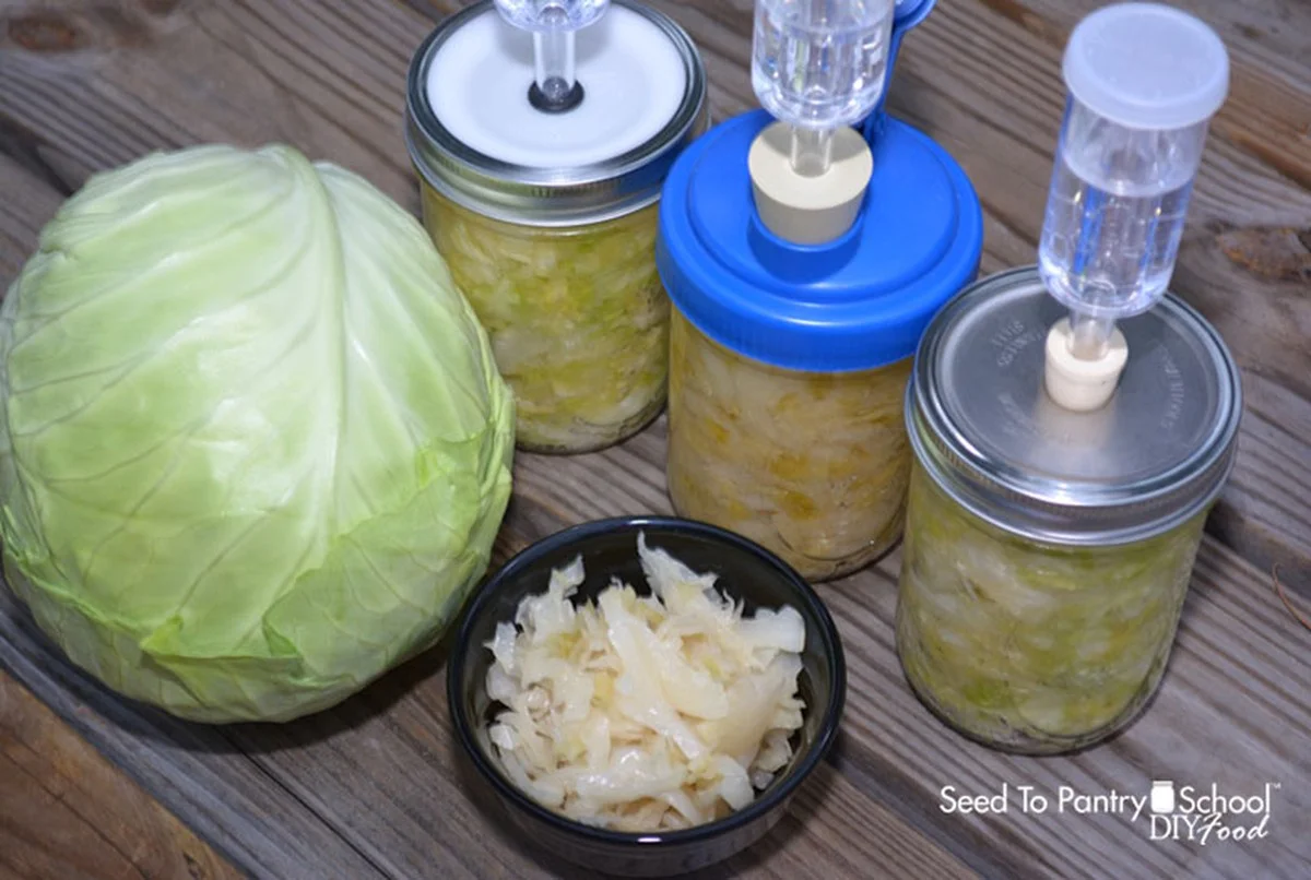 Proč zkušení kuchaři nekvasí zelí v třílitrové sklenici, ale používají hrnec: 3 velikosti a jejich tajné triky - image 1