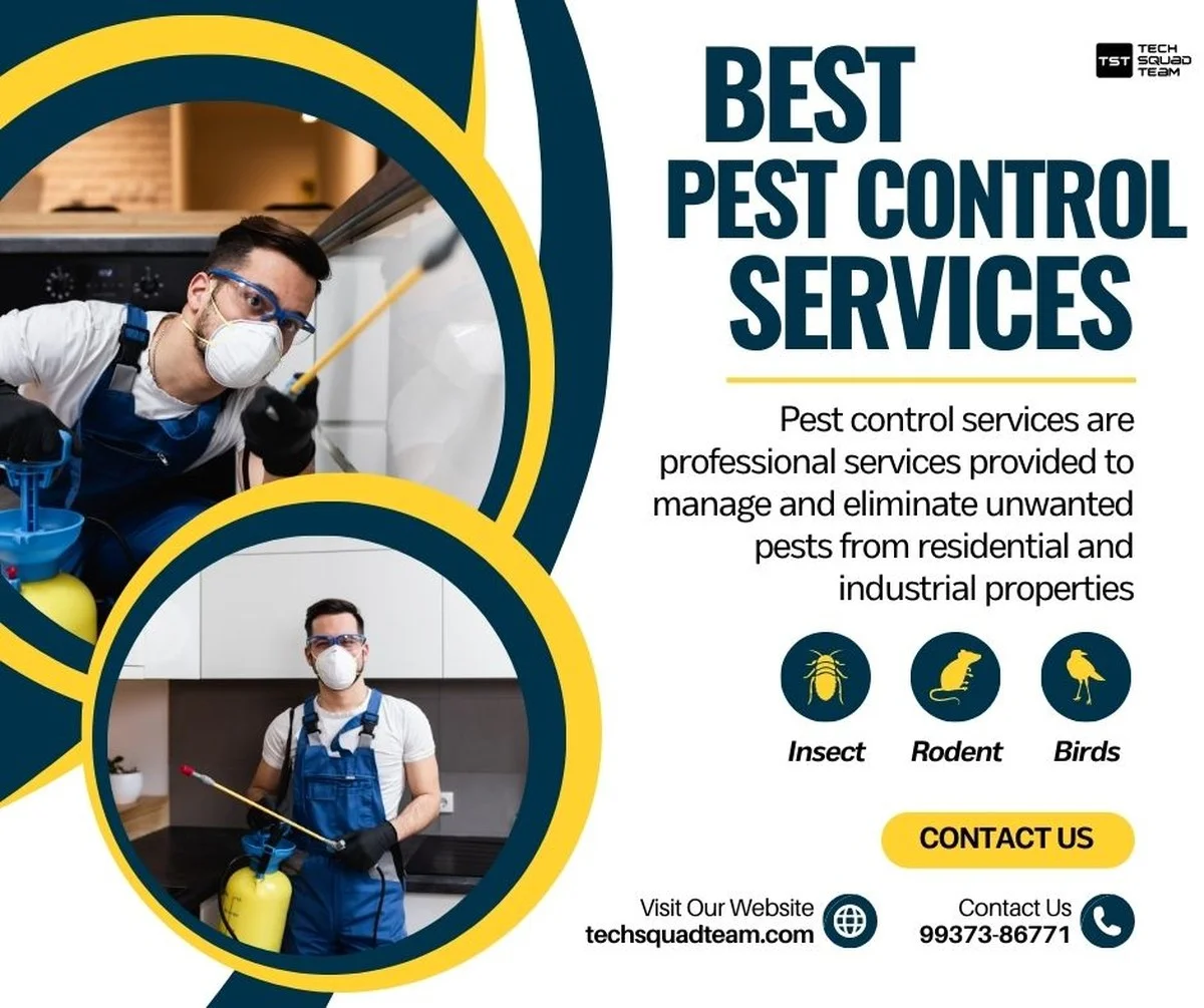 Prečo skúsení domáci majstri nikdy nedávajú na myši guličky proti moliam: Expert odhalil šokujúcu pravdu - image 2