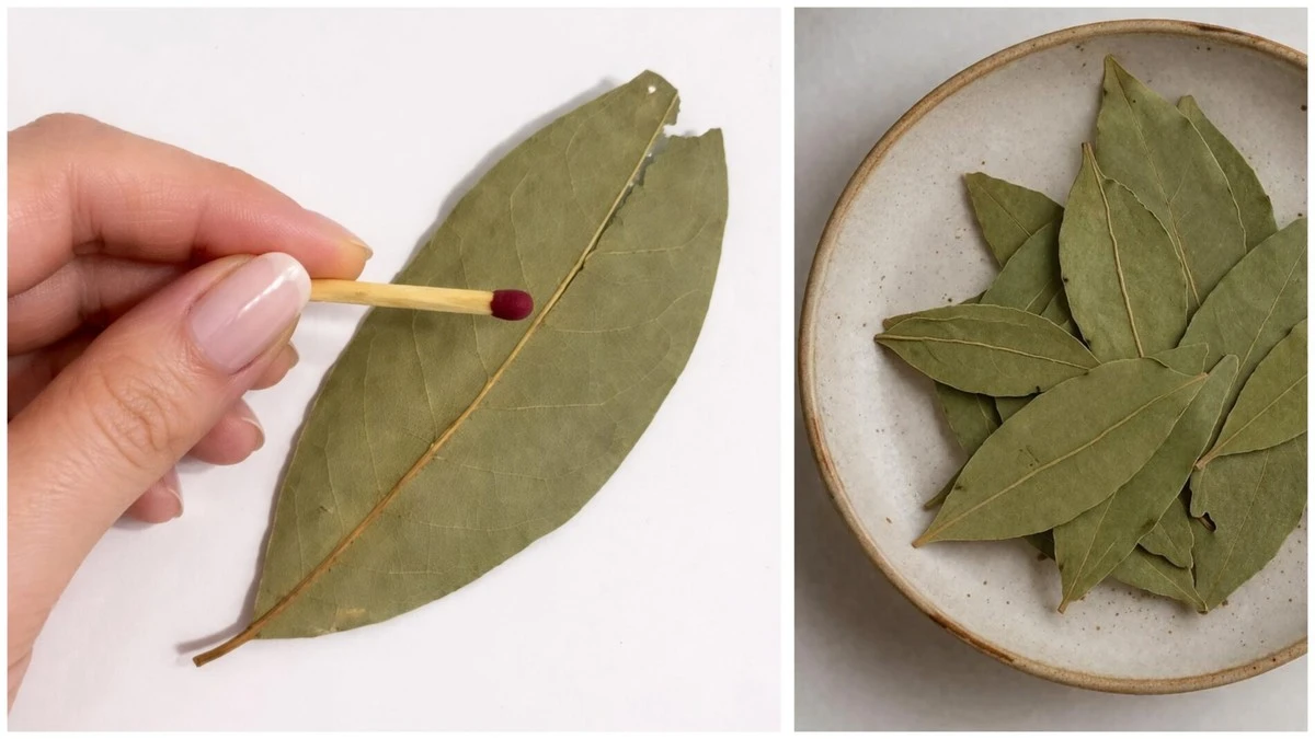 Kdy pálit vavřínový list v dubnu 2026: Nejde o „Voodoo“, ale o dávnou tradici našich předků