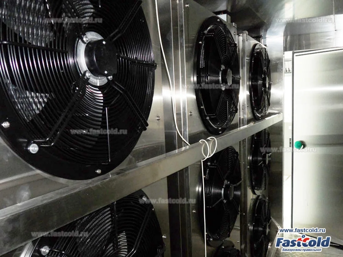 Jak uchovat jídlo po Novém roce: Jednoduchý trik, díky kterému nezůstane mrazák přecpaný - image 2