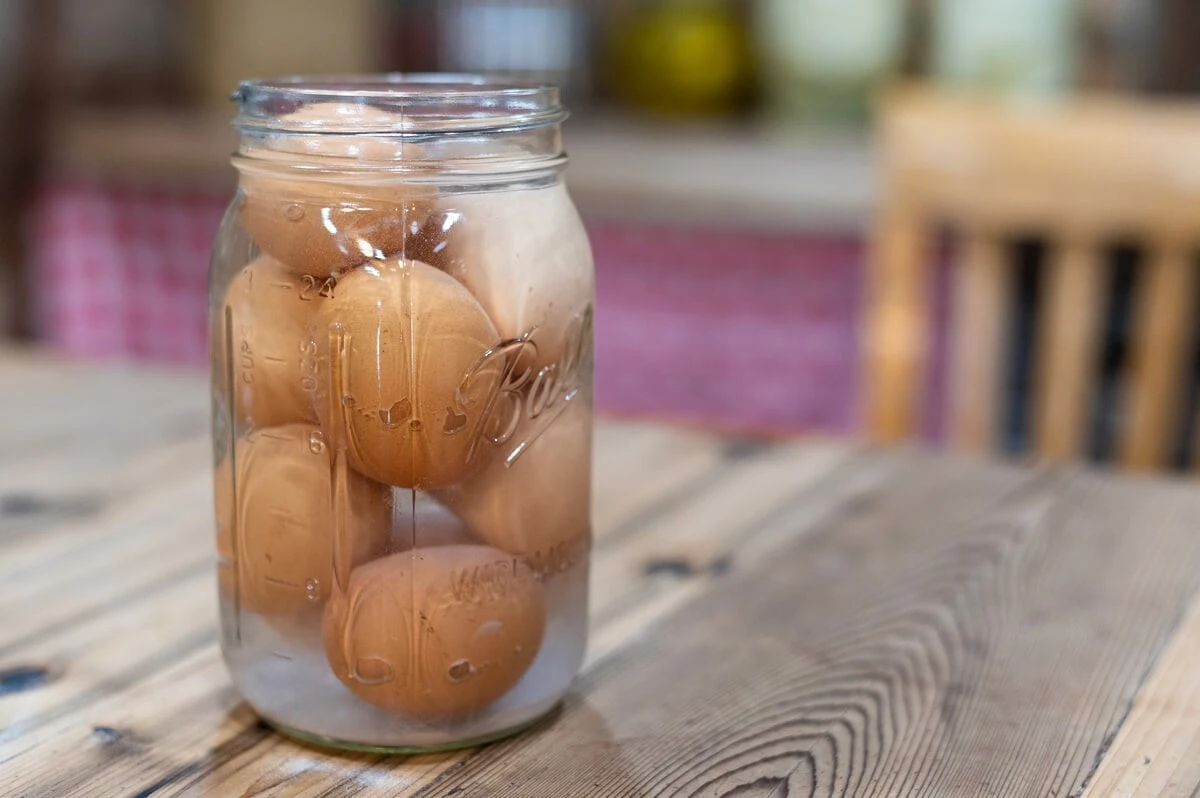 Jak uchovat čerstvá vejce celý rok bez lednice: Prostý trik expertů - image 1