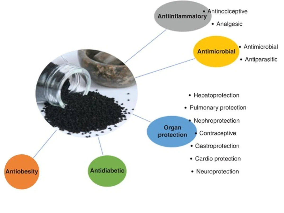 Tři důvody, proč si zkušení kuchaři schovávají semínka černuchy (a jak funguje na cholesterol) - image 1