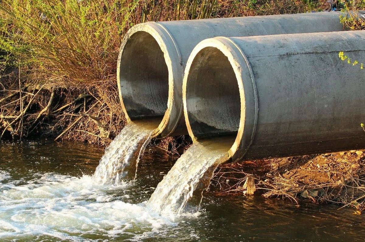 tippromajiteled-extra-2.webp Tip pro majitele domů: Jedna houba do septiku ročně zařídí rok bez zápachu a čištění - image 2