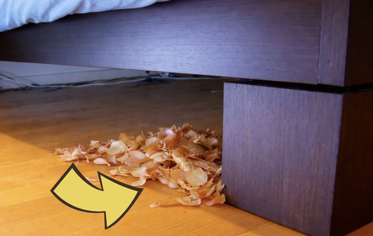 Proč babičky dávaly cibuli pod postel: tajná zbraň proti nespavosti