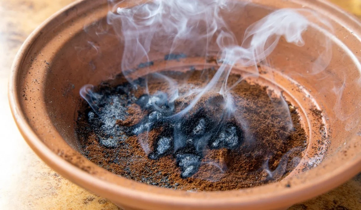 procvkavovesedl-extra-1.webp Proč v kávové sedlině zapálit sirku: trik proti hmyzu, který vás překvapí - image 1