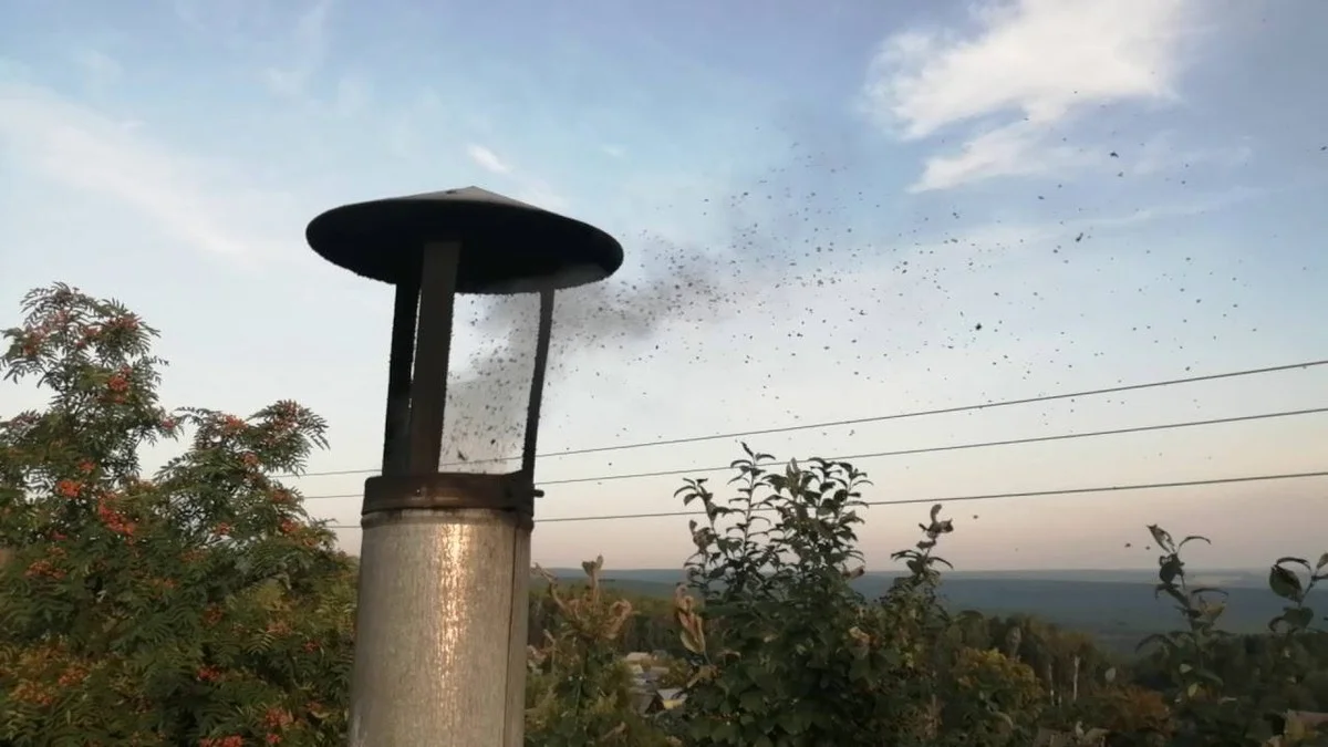 Proč zkušení majitelé rodinných domů sypou do pece sůl a bramborové slupky