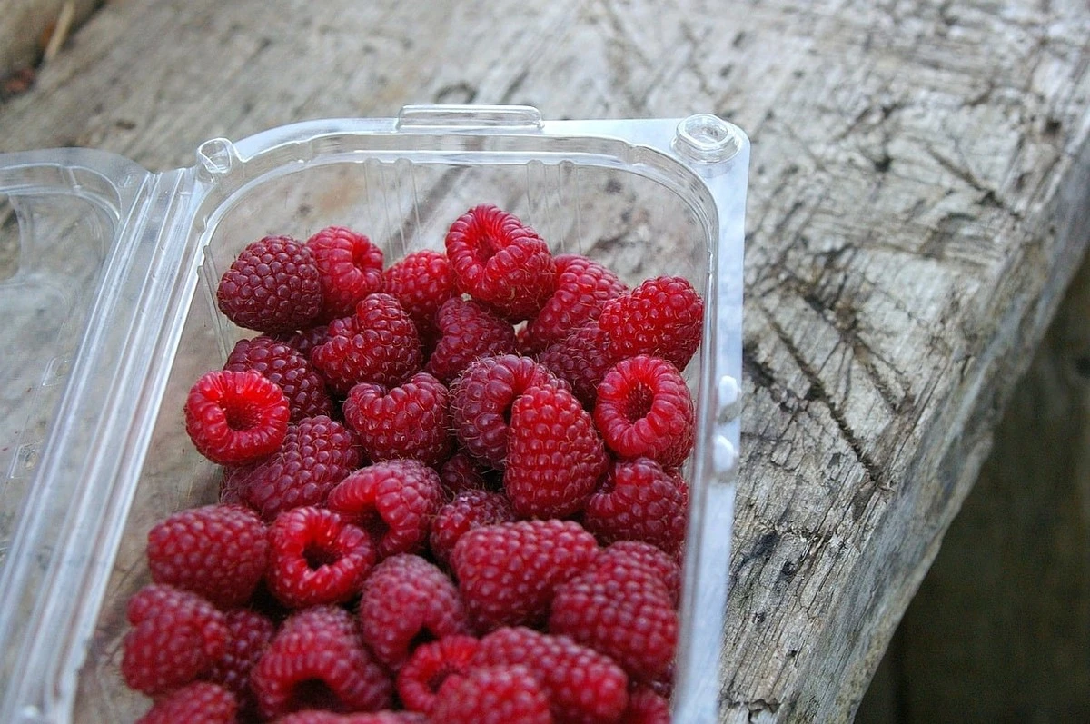 Skryté chemikálie v plastových obalech: Proč byste měli přehodnotit své obědové krabičky