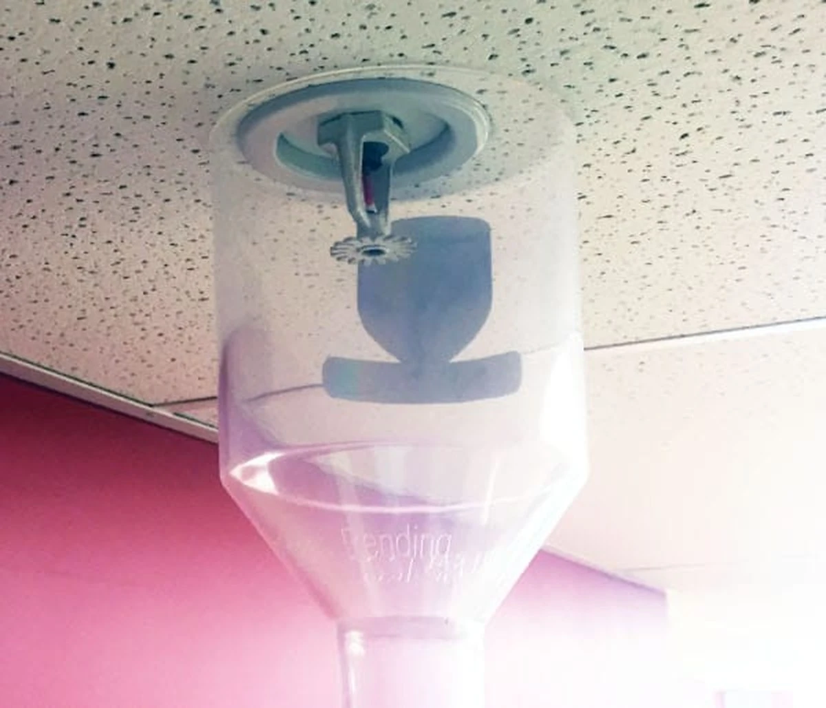 rozkriitesekret-extra-1.webp Розкрийте секрет потужного напору душу: простий лайфхак з оцтом - image 1