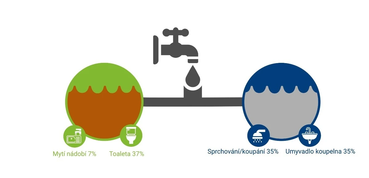 Už žádný odpad: 4 geniální triky s kartonovými obaly od vajec, které musíte znát - image 2
