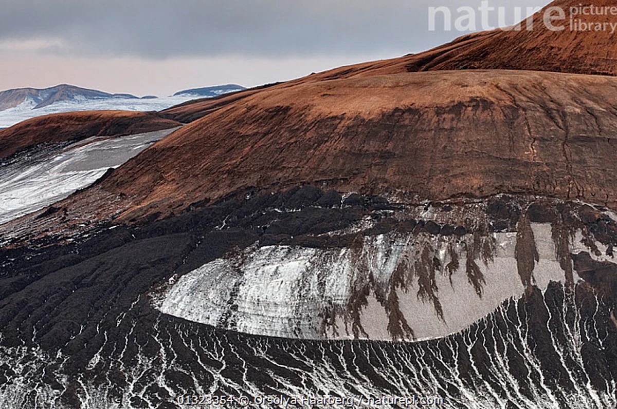 Proč zkušení majitelé domů nepoužívají sůl: Nový zimní trik se směsí popela, který nepoškozuje dlažbu - image 2