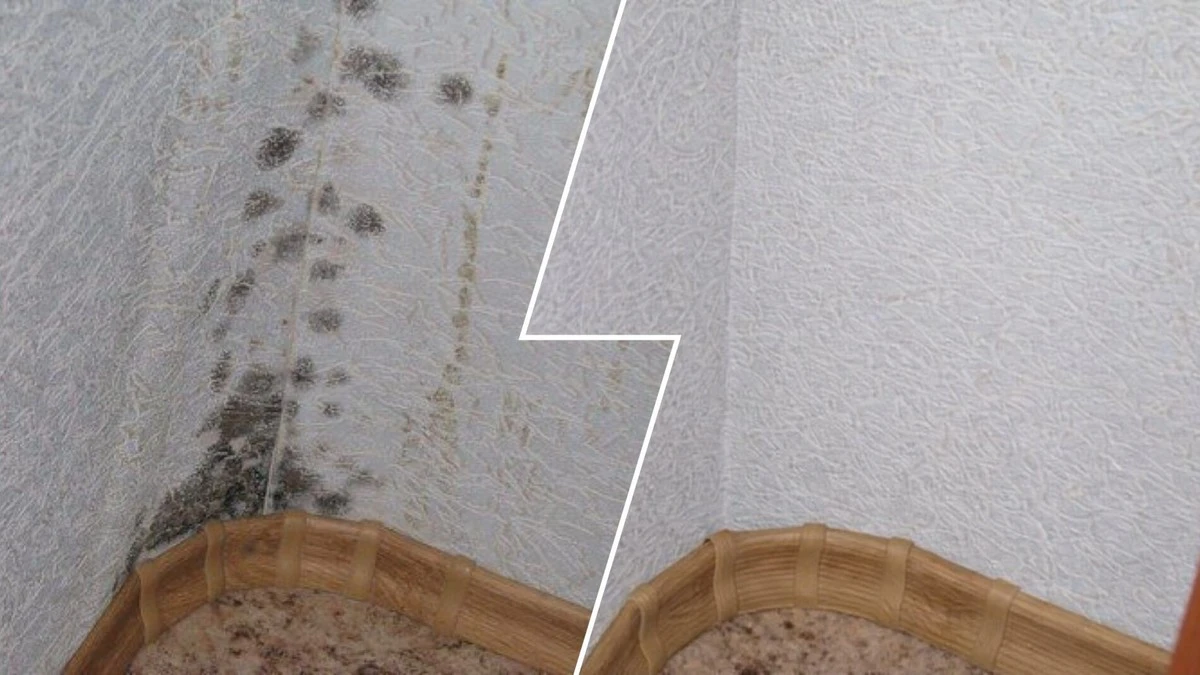 Domácí prostředek na plísně: Směs jedlé sody a octa zatočí s černými fleky po celé domácnosti