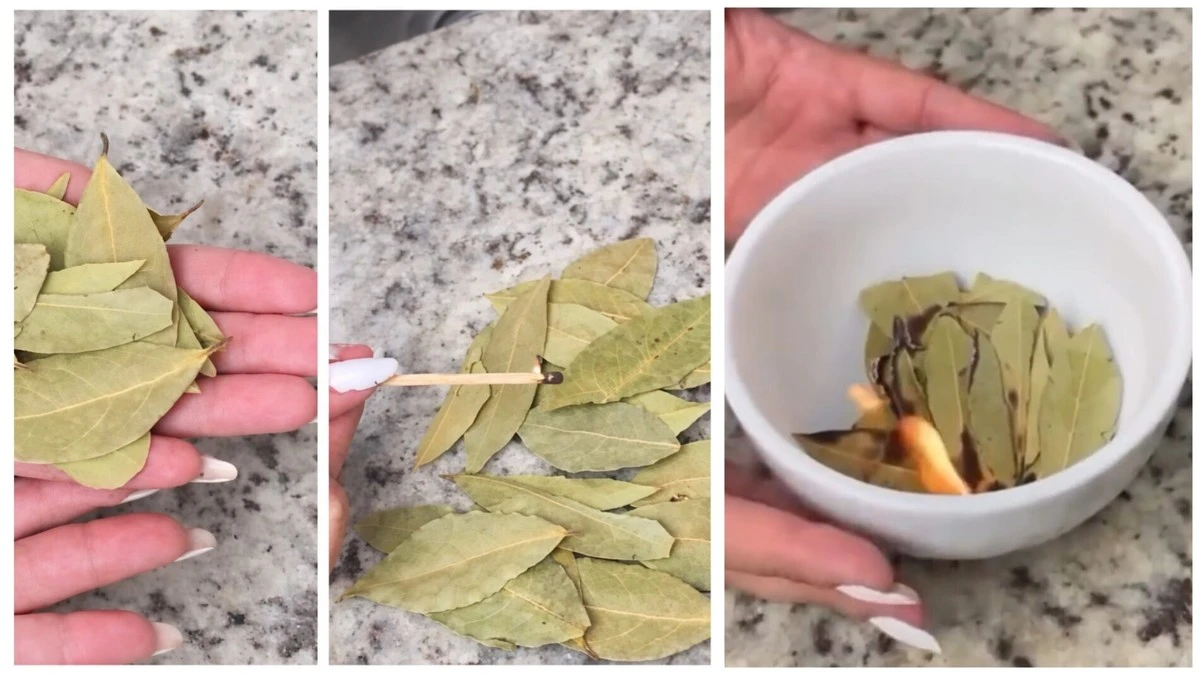 4 jarní dny pro změnu života: Proč pálit bobkový list 15. a 31. března