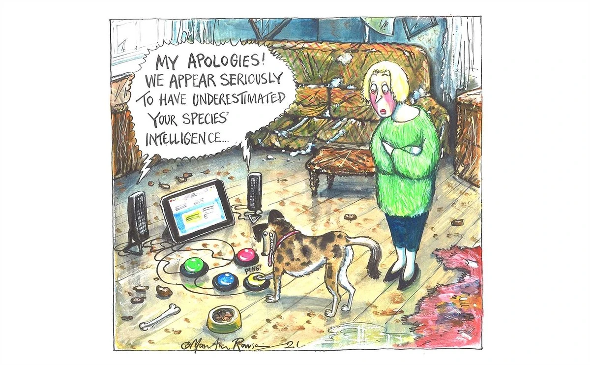 procsevaspesvyh-extra-1.webp Proč se váš pes vyhýbá některým lidem: 4 jasné důvody - image 1