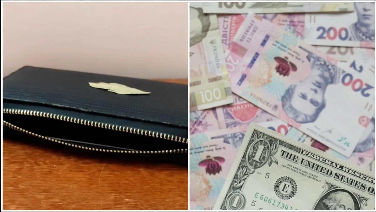 Proč tchyně dává do peněženky jeden bobkový list: Přitahuje peníze jako magnet, vyzkoušela jsem to o Vánocích