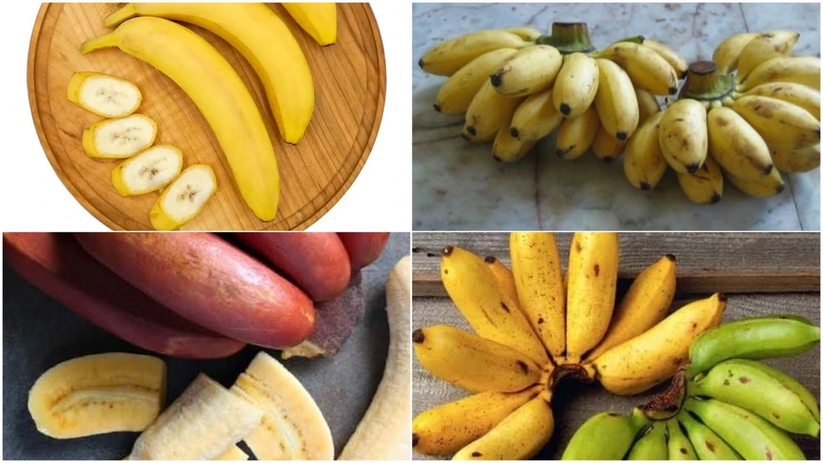 Do bazénu s banány? Proč jsou baby banány tak malé a dražší než ty klasické