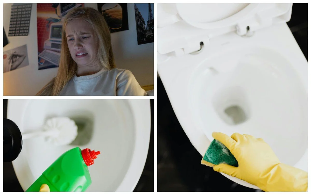 Proč zkušení majitelé dávají dřevěné uhlí do WC mísy (není to na čištění)