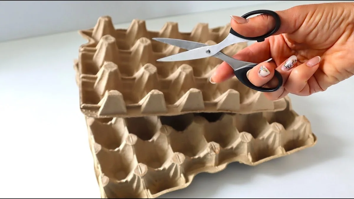 Vaječné kartony nepatří do koše: 3 chytré způsoby, jak ušetřit za topení i vyrobit vlastní sazenice