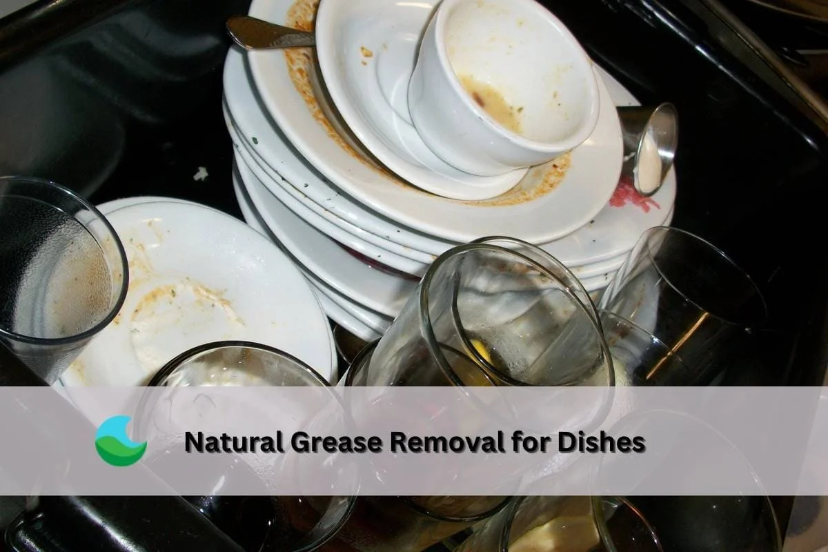 proczkusenikuch-extra-1.webp Proč zkušení kuchaři dávají do vody před mytím nádobí lžíci jedné věci - image 1