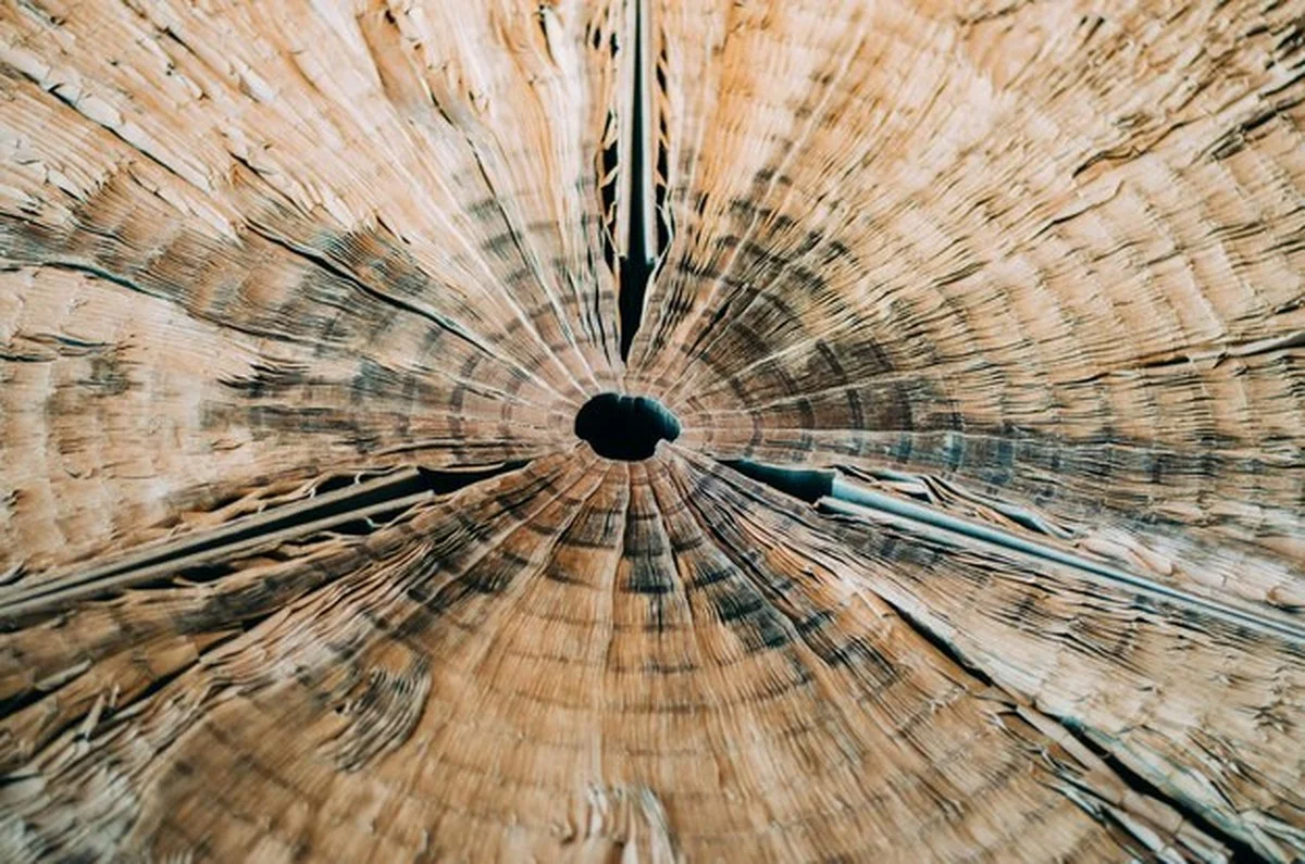 vyuzivategaucje-extra-2.webp Využíváte gauč jen k sezení? 5 tajných míst, kam můžete schovat všechen nepořádek - image 2