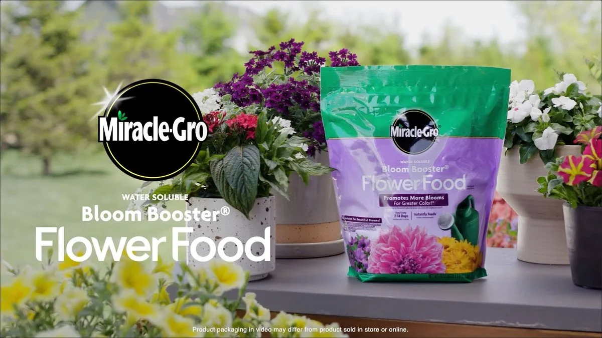 Proč tchýni kvetou orchideje i v zimě: Jeden „nápoj“ dodá poupata - image 2