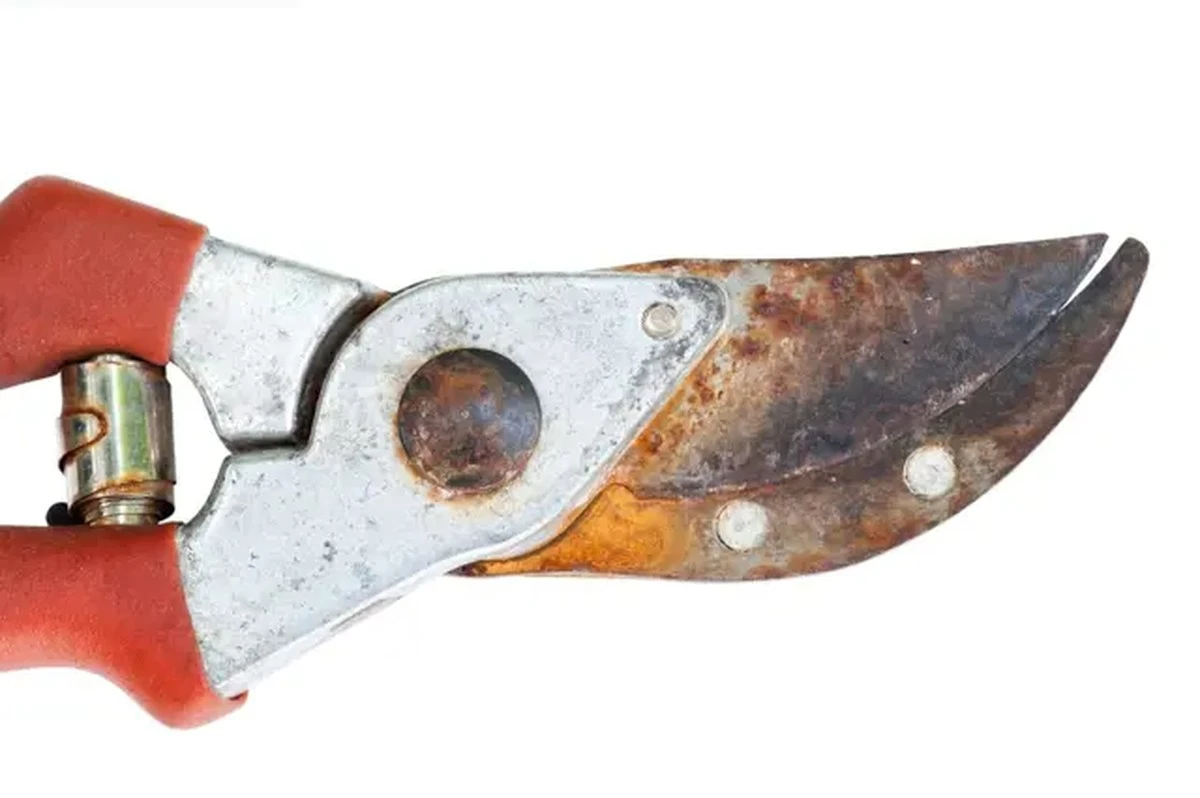 Proč zkušený kutil ve své dílně nechává 4 sáčky ze starých bot u nářadí. Na kovu není ani stopa rzi. - image 1