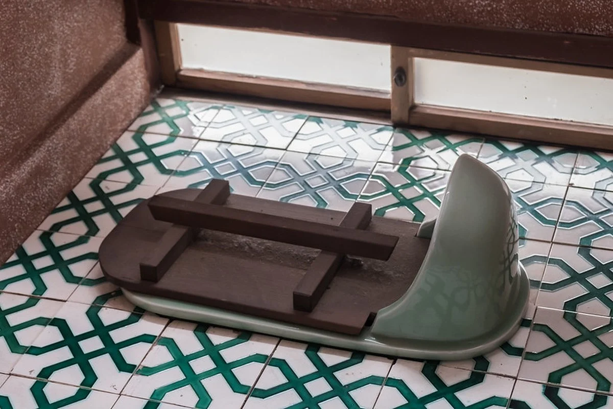 Proč Japonci sedají na toaletu obráceně? Důvod není jen hygienický, ale i zdravotní - image 2