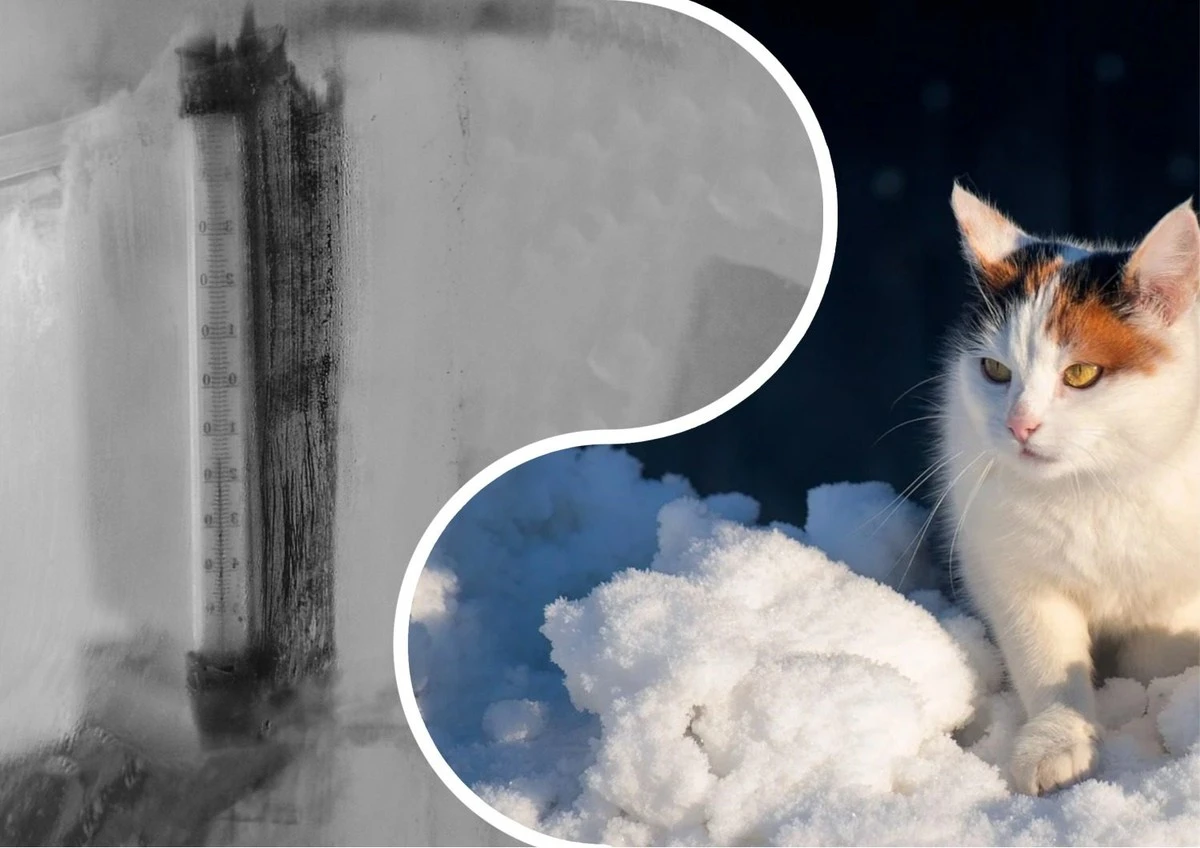 Arktický chlad zasáhne Českou republiku: -25 stupňů a náledí, jak dlouho potrvá a na co se připravit