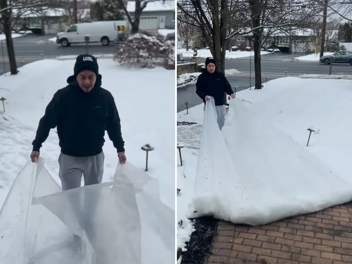 Tajemství, jak se zbavit sněhu za 15 minut: Proč zkušení majitelé domů sypou obyčejnou sůl na čistý chodník - image 1