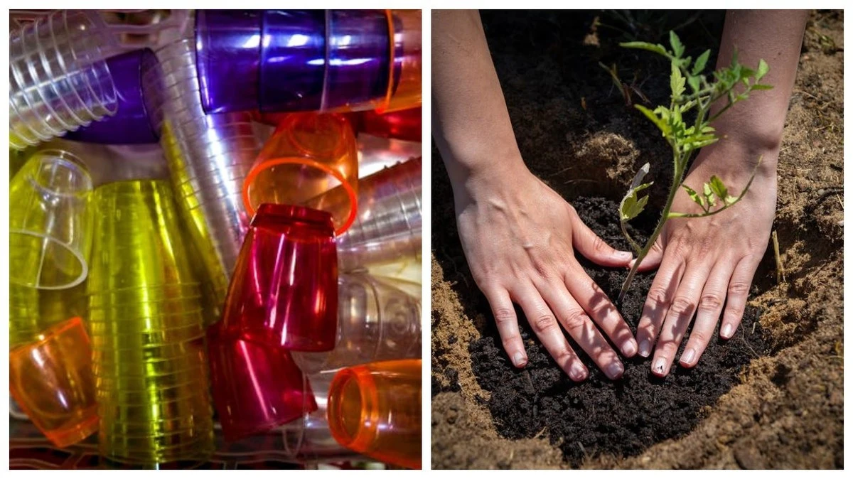 Prozračné plastové kelímky z Avory: geniální trik pro dokonalou sadbu