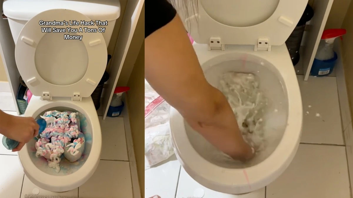 Proč vaše teta schovává Colu jen na záchod: Tajemství zářivého toaletu bez námahy - image 1