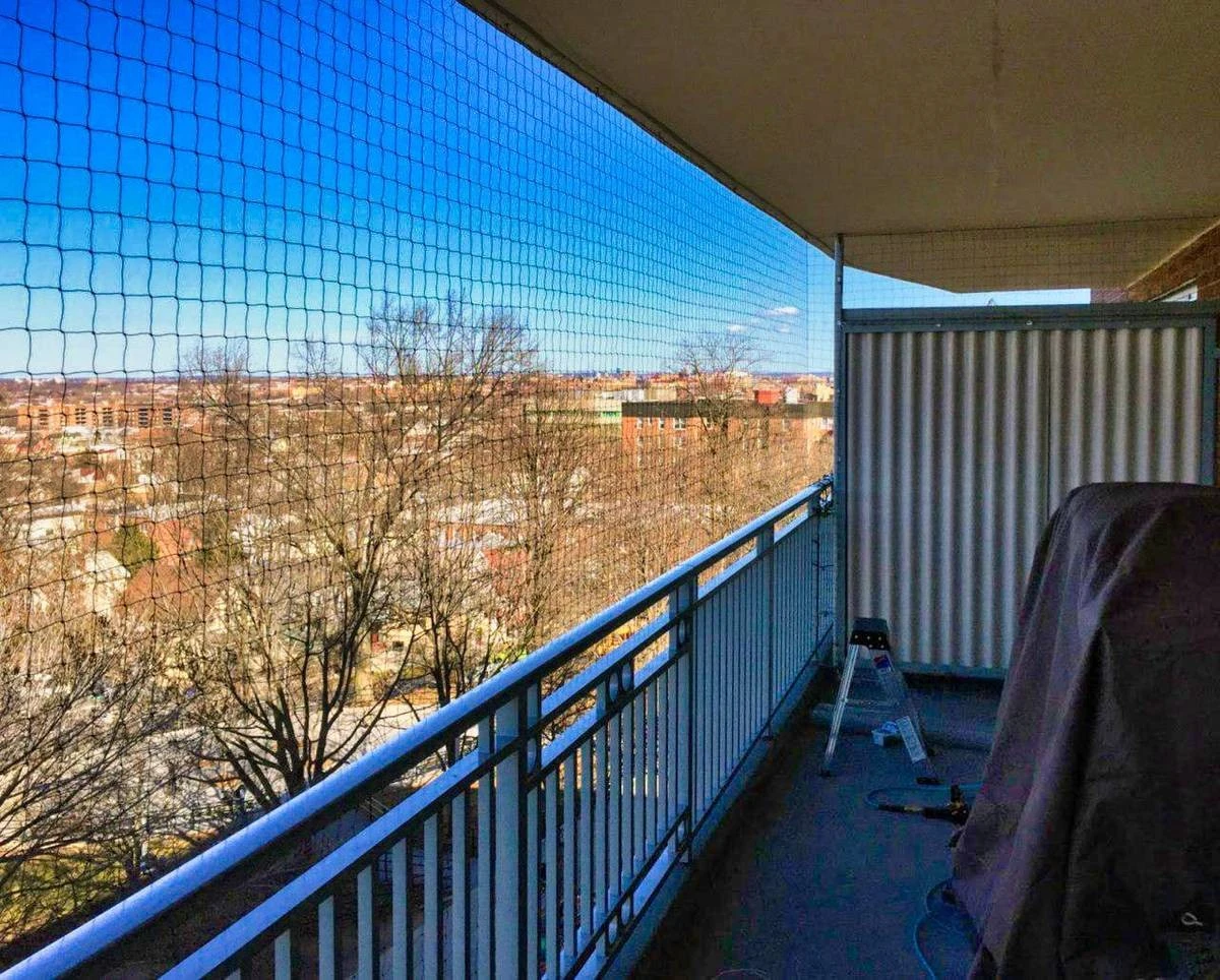 Proč holubi nenávidí bílý a žlutý nátěr: Jednoduchý trik pro váš balkon - image 2