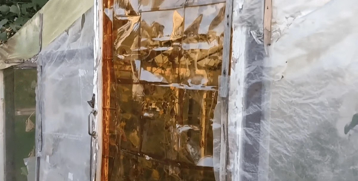 Sbírám lahve z vesnice – a stavím skleník zdarma: výsledek lepší než kupovaná fólie za 500 Kč