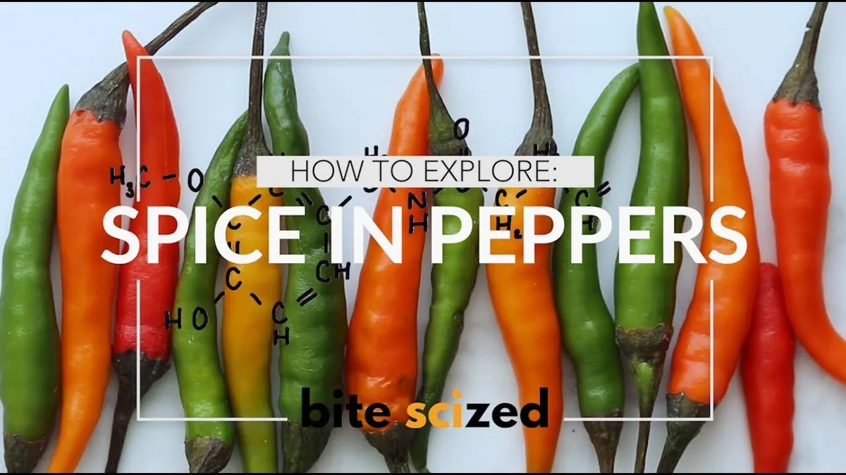 Proč Kuchaři Dávají Zázvor do Vánoční Kutě: Tři Trikky Změny Chuti od Kuchaře Klopotenka - image 2