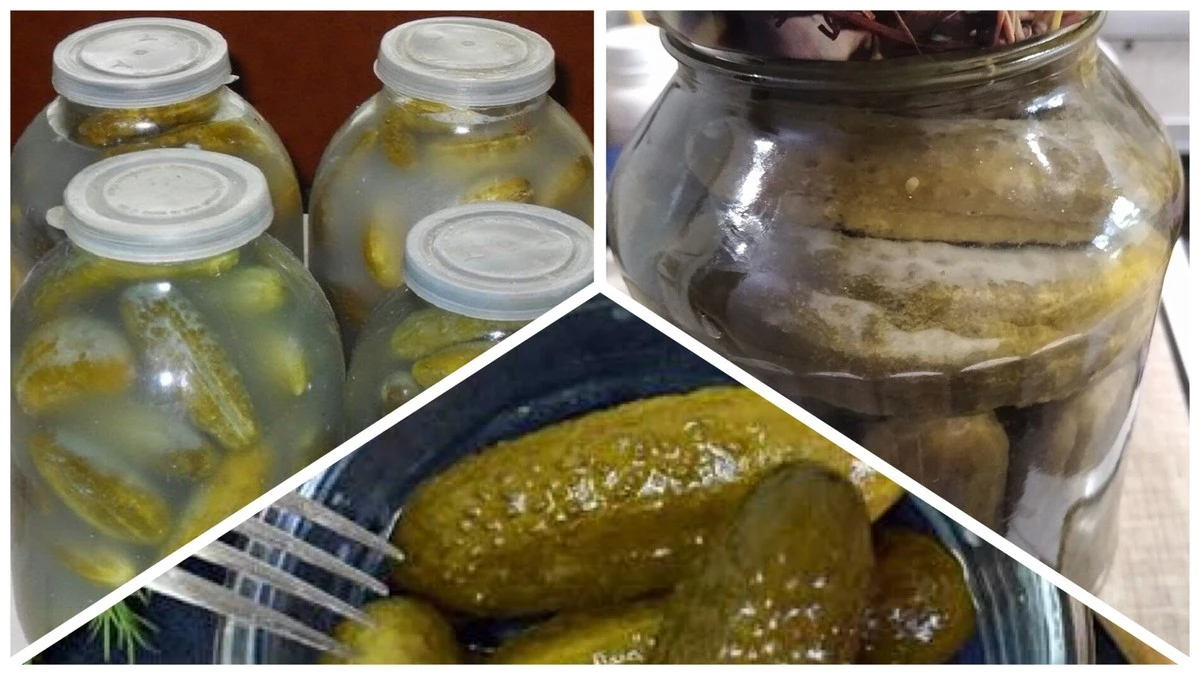 Bílý povlak na okurkách: Proč se objevuje a zda je bezpečné ho jíst