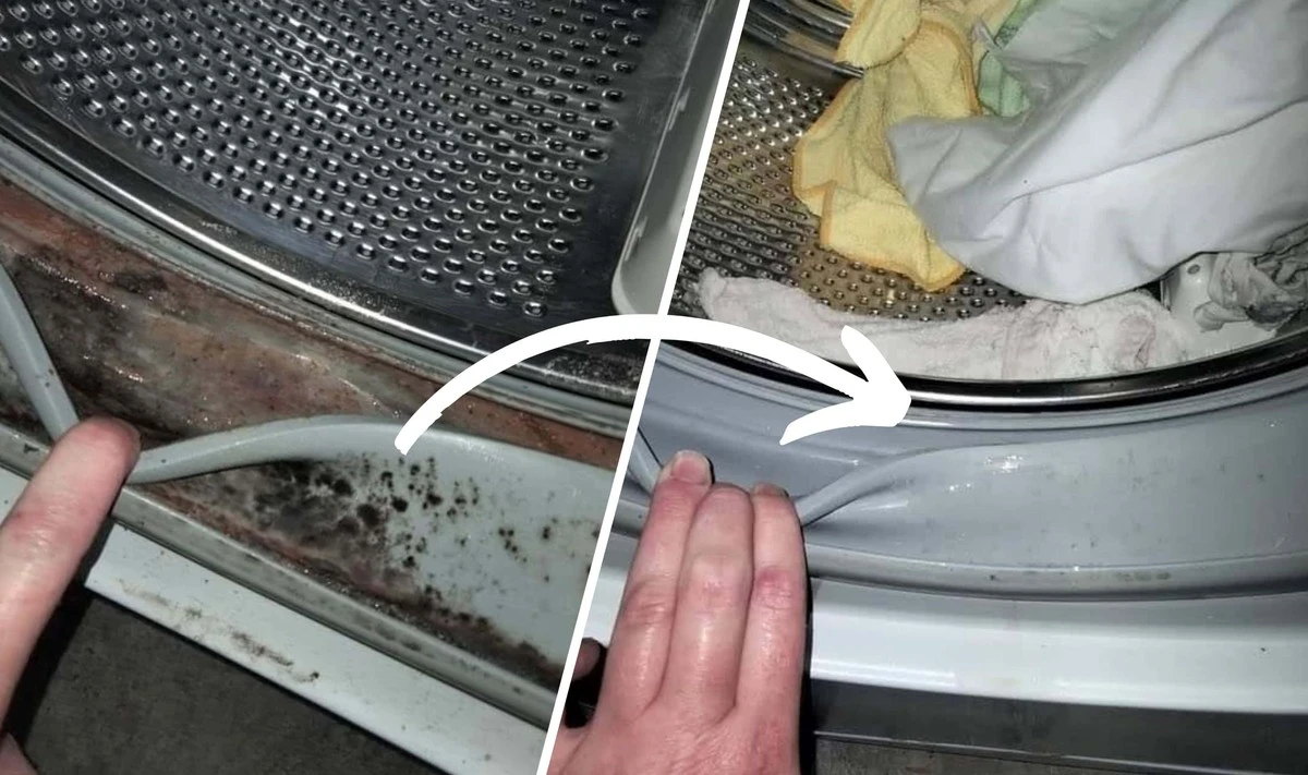 Proč pračka páchne plísní: experti odhalují, co děláte po praní špatně - image 1