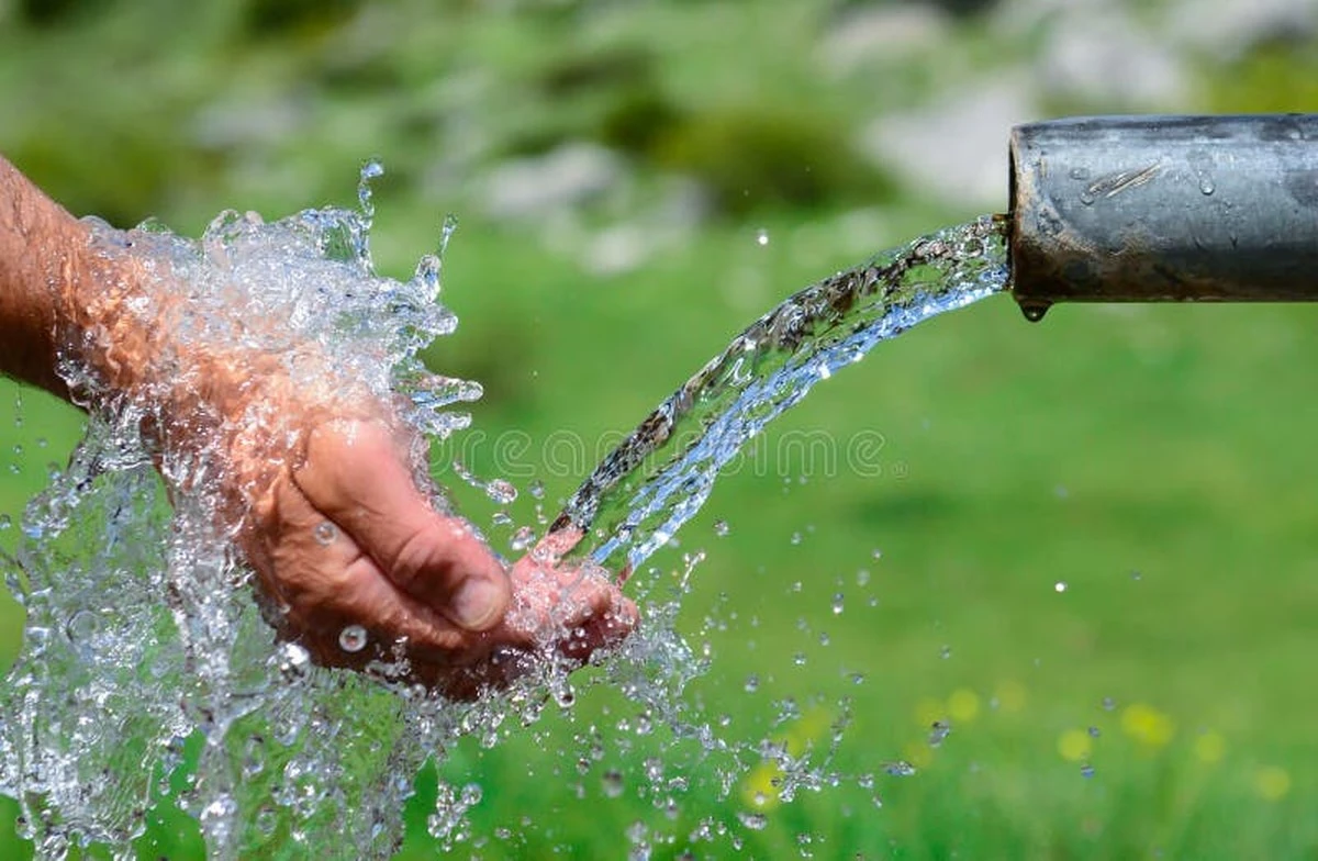 Proč vaše zásoby vody vydrží měsíce bez zelenání: jen 1 stříbrná mince - image 2