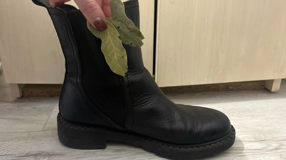 Proč lávové listy zbaví vaše boty zápachu přes noc