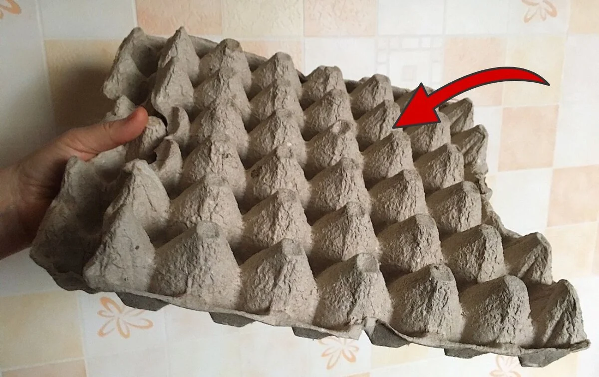 Proč zkušení kutilové nikdy nevyhazují kartony od vajec: Tři geniální využití, která vám usnadní život