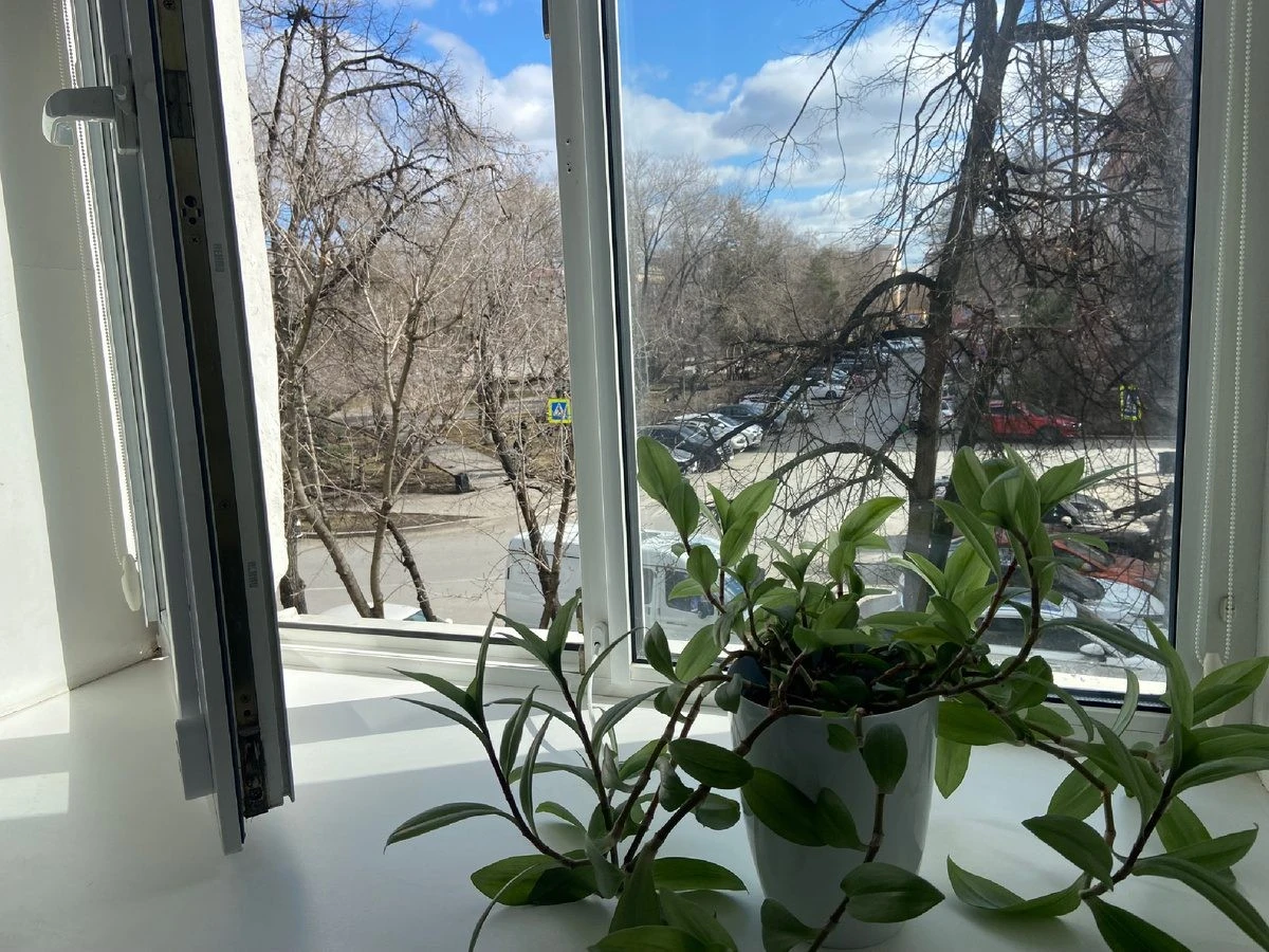 Okna dokonale čistá. Zkušená uklízečka prozradila trik za pár korun, který překoná profesionály