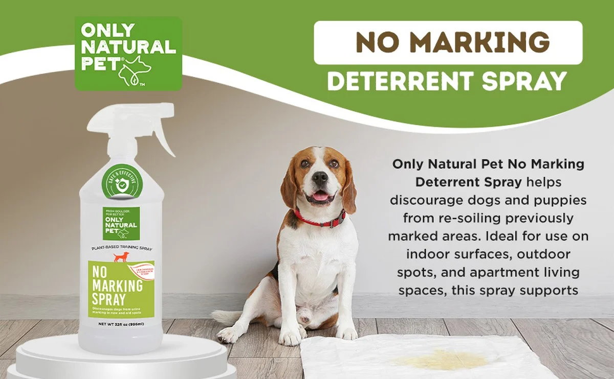 Proč zkušení chovatelé přidávají do domácího repelentu lžíci tymiánu a ocet - image 2