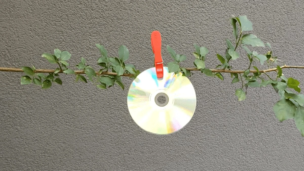 Staré CD disky na zahradě? Ne pro hudbu, ale pro překvapivý trik