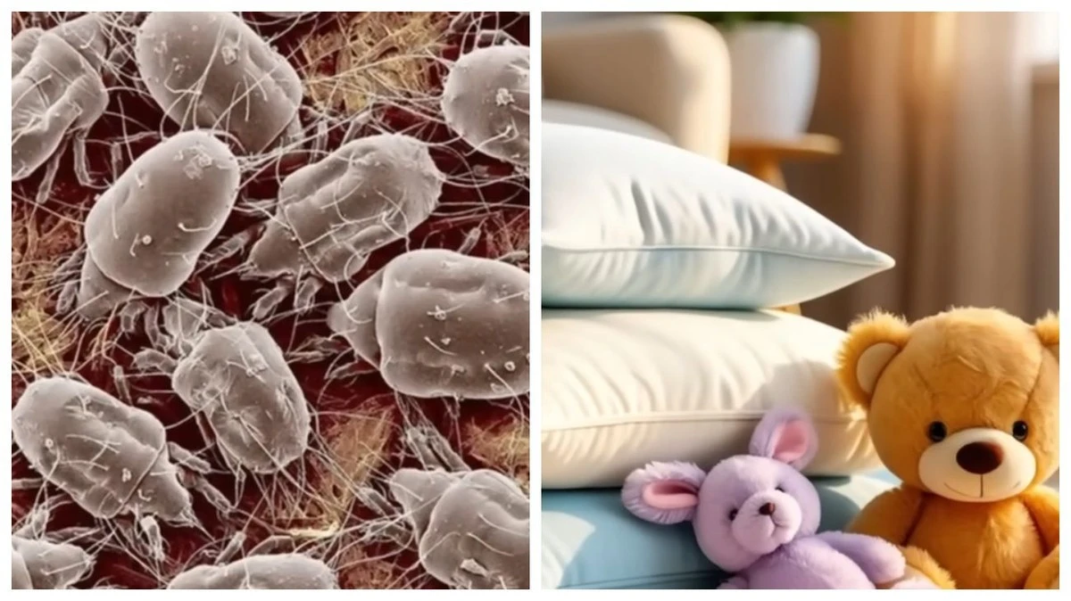 Mraz jako váš nový pomocník: Jak s ním vyčistit a osvěžit domácnost bez námahy