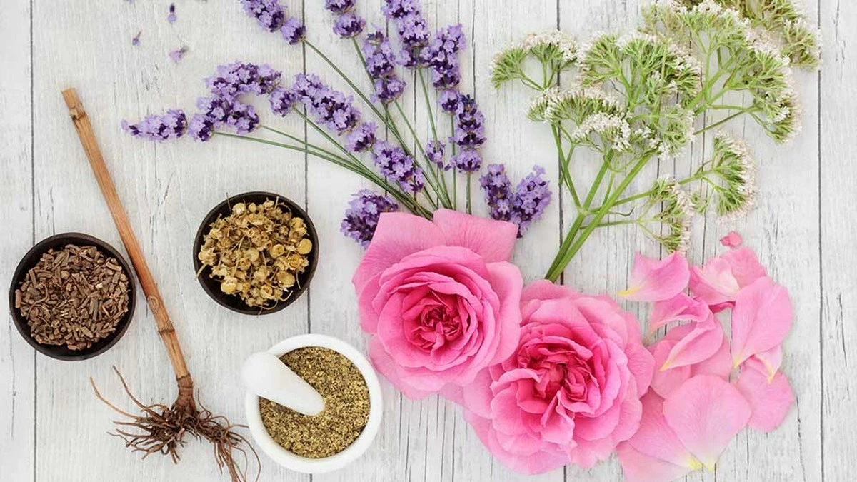 Proč vaše snacha utrácela za drahé svíčky: 1 jednoduchý trik pro sladkou vůni doma - image 2