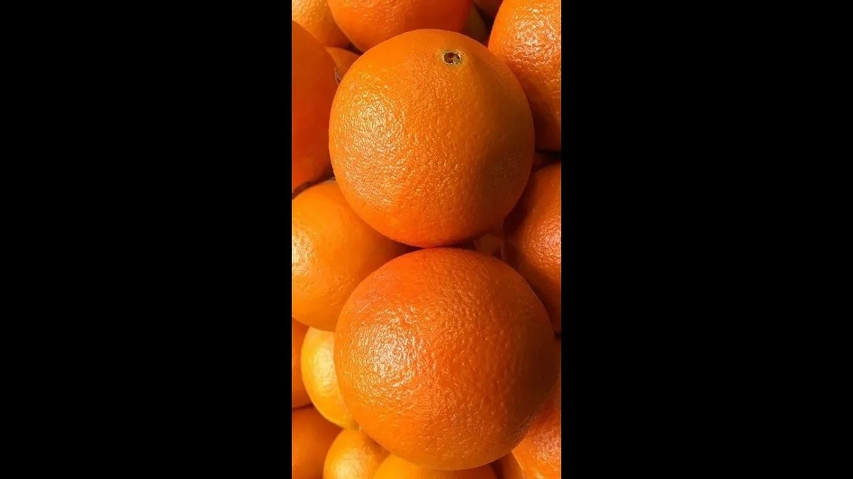 Proč zkušení kupující v Praze berou mandarinky s 