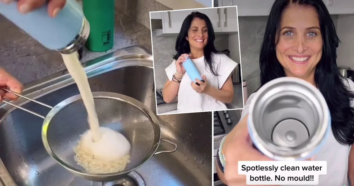 Proč zkušení Češi sypou hrst rýže do termosky: Tajemství odstranění čajového povlaku za 120 vteřin - image 1