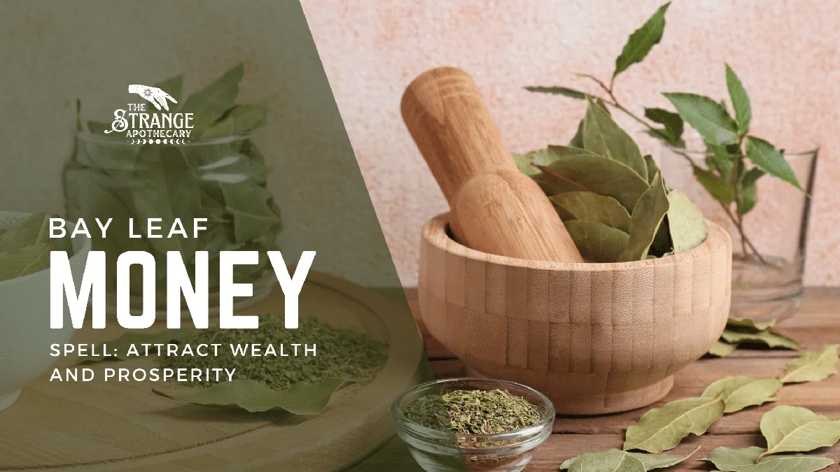 Proč pod vánoční stromeček dávám tři bobkové listy: Fígl od finančnice, který funguje - image 2