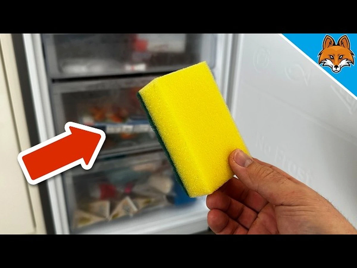Proč dávat nový houbičku na nádobí do mrazáku: Nečekané řešení kuchyňské vlhkosti - image 1