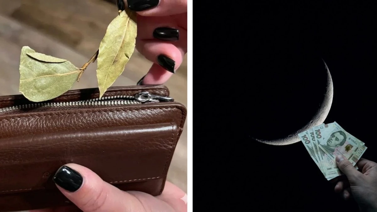 Ukázala jsem měsíci 200 Kč a peněžence 1 bobkový list: sousedé se mi smáli, teď to opakují 1:1 | Dobré zprávy