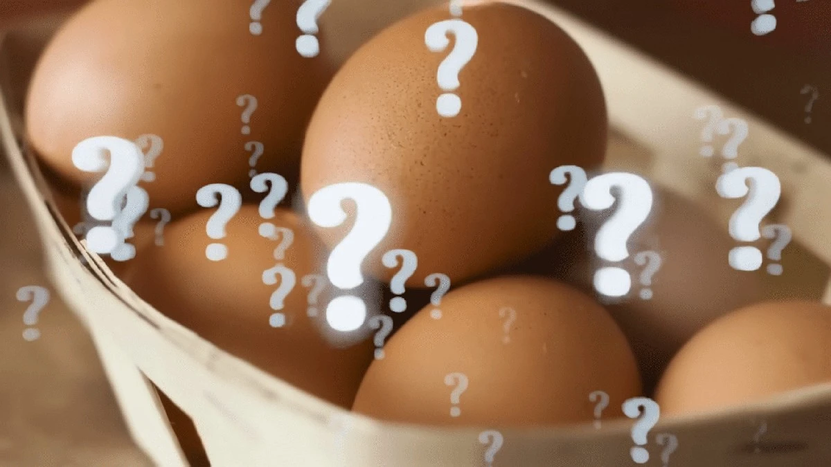 Proč v obchodě přeplácíte za hnědá vejce: 1 fakt, který mění pohled