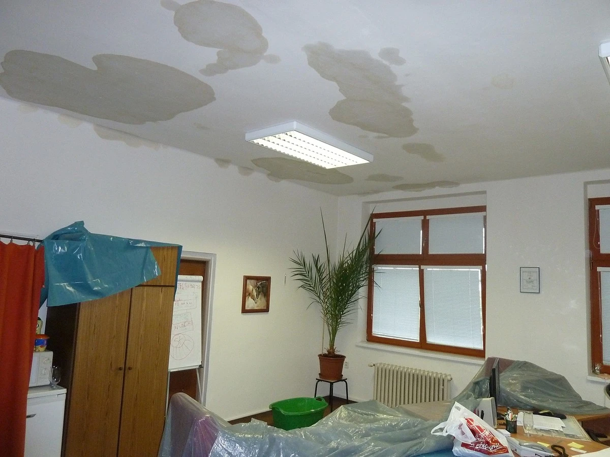 Kdo platí škodu po sousedově vytopení? Váš návod, jak se nespálit - image 1